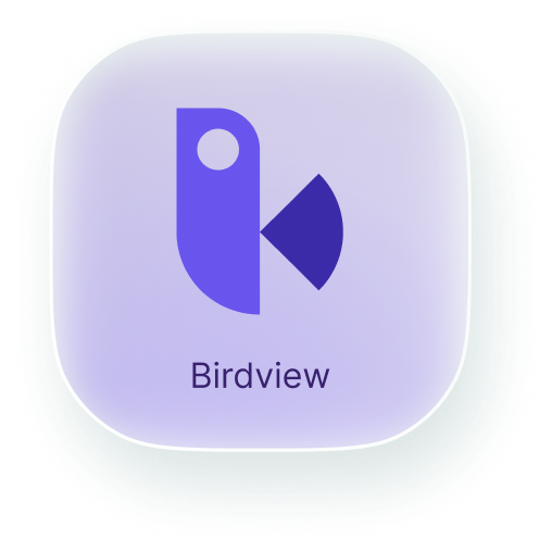 Birdview logo